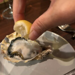 福島 牡蠣と肉たらし ビストロKAI - 