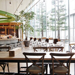 チャヤマクロビ - 