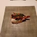 カンテサンス - 