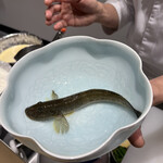 てんぷら てらおか - 