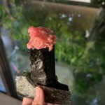 立喰 鮨となり - 