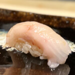 札幌 すし白 - 