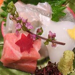 円かの杜 - 料理写真:造里　近海鮪　平目　アオリイカ