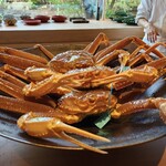 御料理藤居 - 