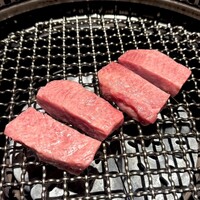日本焼肉 はせ川 銀座店 - 