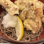 Kineya Sapporo Maruyama Class Ten - 