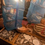 越後番屋酒場 - 