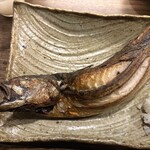 炉端焼きHOTARU - 鯖