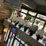 チャーリーブラウン - 