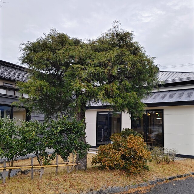 発酵小路 田屋 - 羽後本荘（カフェ）の写真