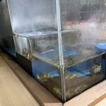 本家 さんきゅう - 