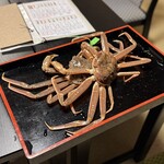 京料理　寿司ふじ - 