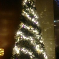 Dining & Bar TENQOO - 