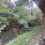 伊豆味そば - 緑に囲まれてます