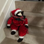 アンティークティールーム マリッジ - 