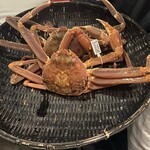 二代目 梅太郎 - 