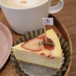 アンズトモモ - 