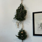 アンズトモモ - 