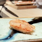 鮨 つぼみ - シマエビ 北海道江差町より