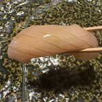 NOMI RESTAURANT - 藤本さんの縞鯵、美しい