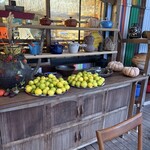 NOMI RESTAURANT - 瀬戸内レモン