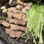 ハンプルThe wave - 