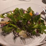 レフェルヴェソンス - 