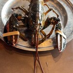 レッドロブスター アクアシティお台場店 - 