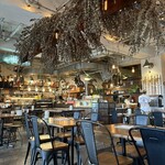 ボンゴ アンド アンカー - 