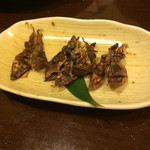 舞扇 - サービスでいただいた”ホタルイカの干物”