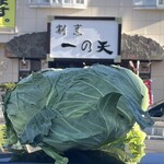 割烹 一の矢 - 自家栽培キャベツ無料サービス中^_^