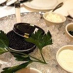 ベンジャミンステーキハウス - 