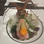 和匠 八仙 - 伊勢海老姿盛りと本鮪（伊勢海老御一人様1尾づつ）