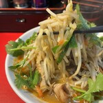 濃厚タンメン かめしげ - 