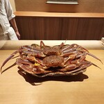 橦木町 しみず - 