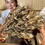 日本料理FUJI - 初めて見た、胡麻の枝葉