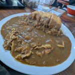 白龍ラーメン - どデカい皿にタップリライスとタップリルー♪