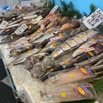 魚河岸 こうちゃん - 一階の鮮魚店