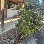 やわらかとんかつ 幸せや - 