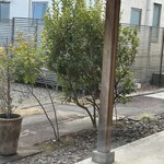 やわらかとんかつ 幸せや - 