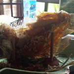 Mekong Rest Stop - 素手で千切ります