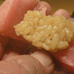 貴蔵 - 大間の中トロシャリ