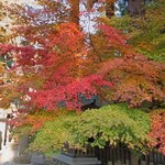 天庵 - 天岩戸神社の紅葉。