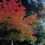 天庵 - 天岩戸神社の紅葉。