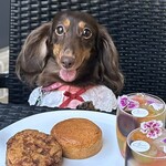 parlor_hana bySN - テラス席はワンちゃんとご一緒できます