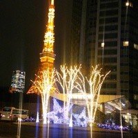 ザ・プリンス パークタワー東京 - 東京タワーも間近。素敵なイルミネーションにうっとり❤