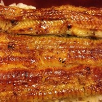 つきじ宮川本廛 - ランチ鰻重