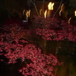うかい鳥山 - この時期は素晴らしい！