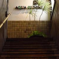 アクア オリビン - 店内の雰囲気