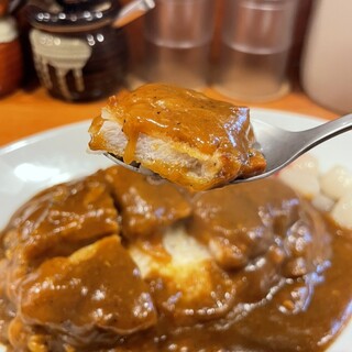 日乃屋カレー_1